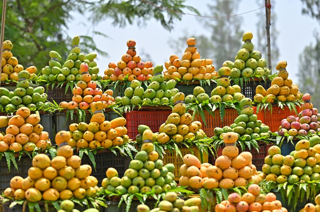 Des fruits encore tropicaux ? Les ﬁlières mondialisées au déﬁ des transitions — Toulouse janvier&nbsp;2024